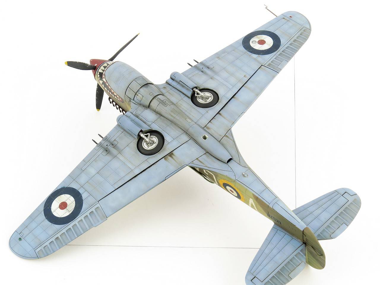 Curtiss 'Tomahawk' Mk.II B Fighter (The British Commonwealth Air Forces) – Image 9