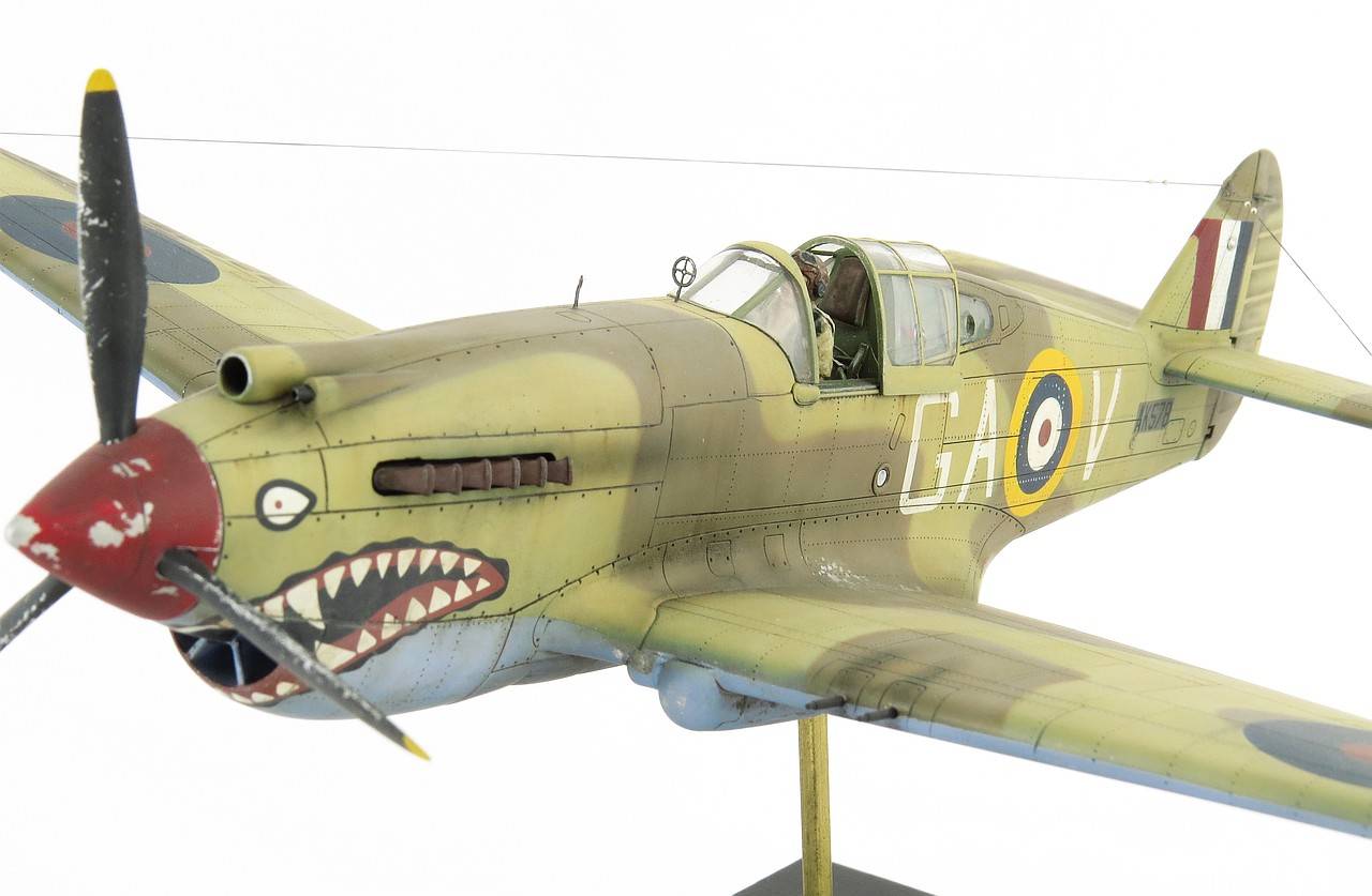 Curtiss 'Tomahawk' Mk.II B Fighter (The British Commonwealth Air Forces) – Image 8