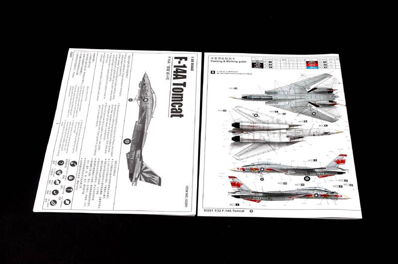 F-14A TOMCAT – Image 19
