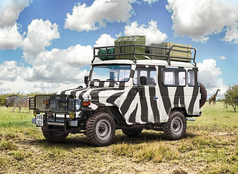 Toyota Land Cruiser SAFARI – Image 11