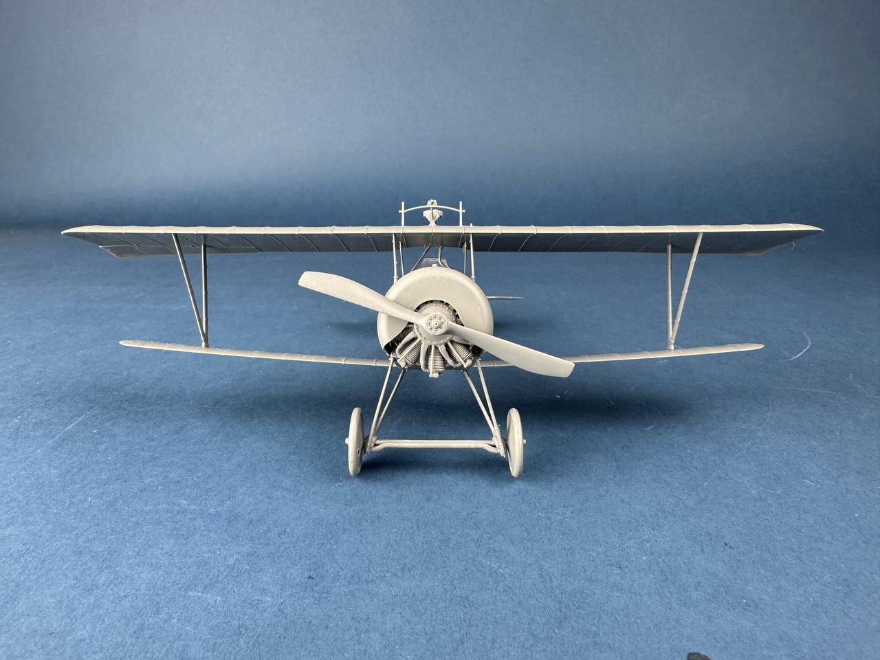 Nieuport XI Italian Service – Image 4