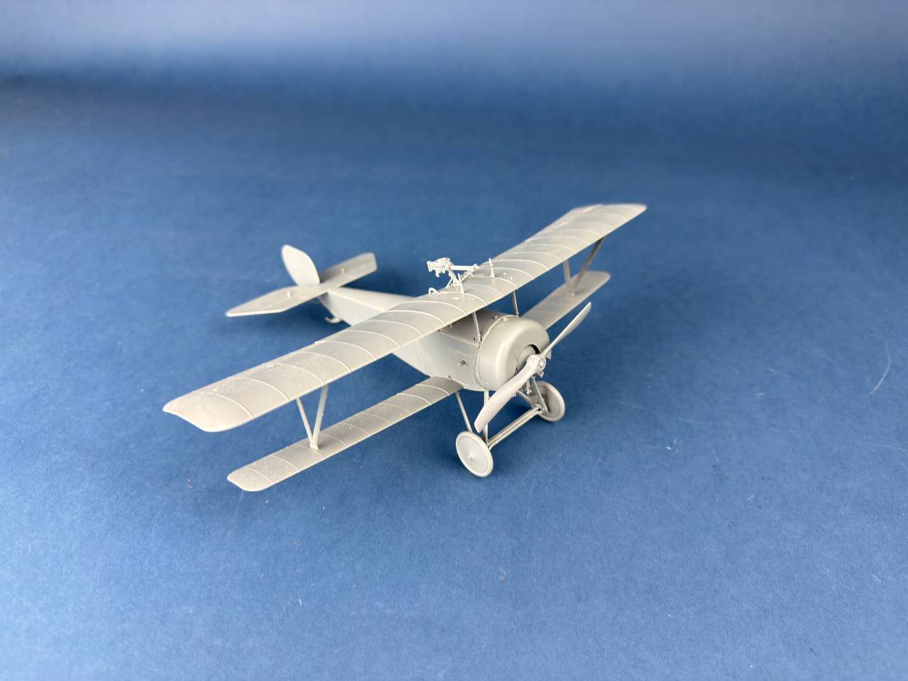 Nieuport XI Italian Service – Image 3