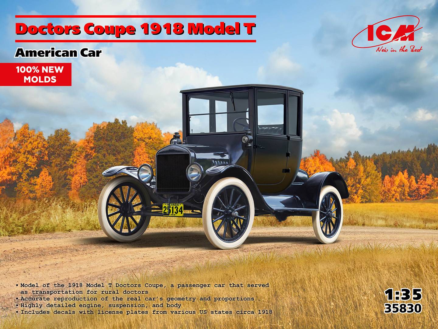 Doctors Coupe 1918 Model T