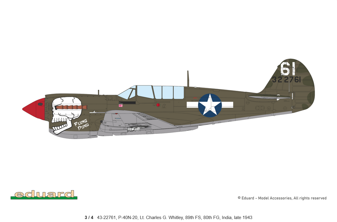 P-40N Warhawk Weekend edition – Image 4