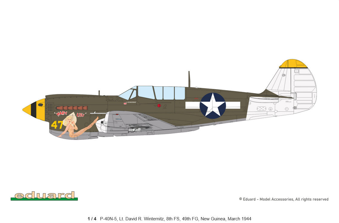 P-40N Warhawk Weekend edition – Image 6