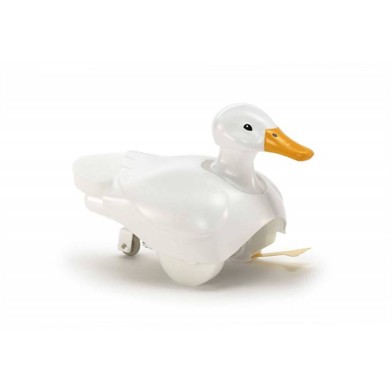 Walking & Swimming Duck – Image 2