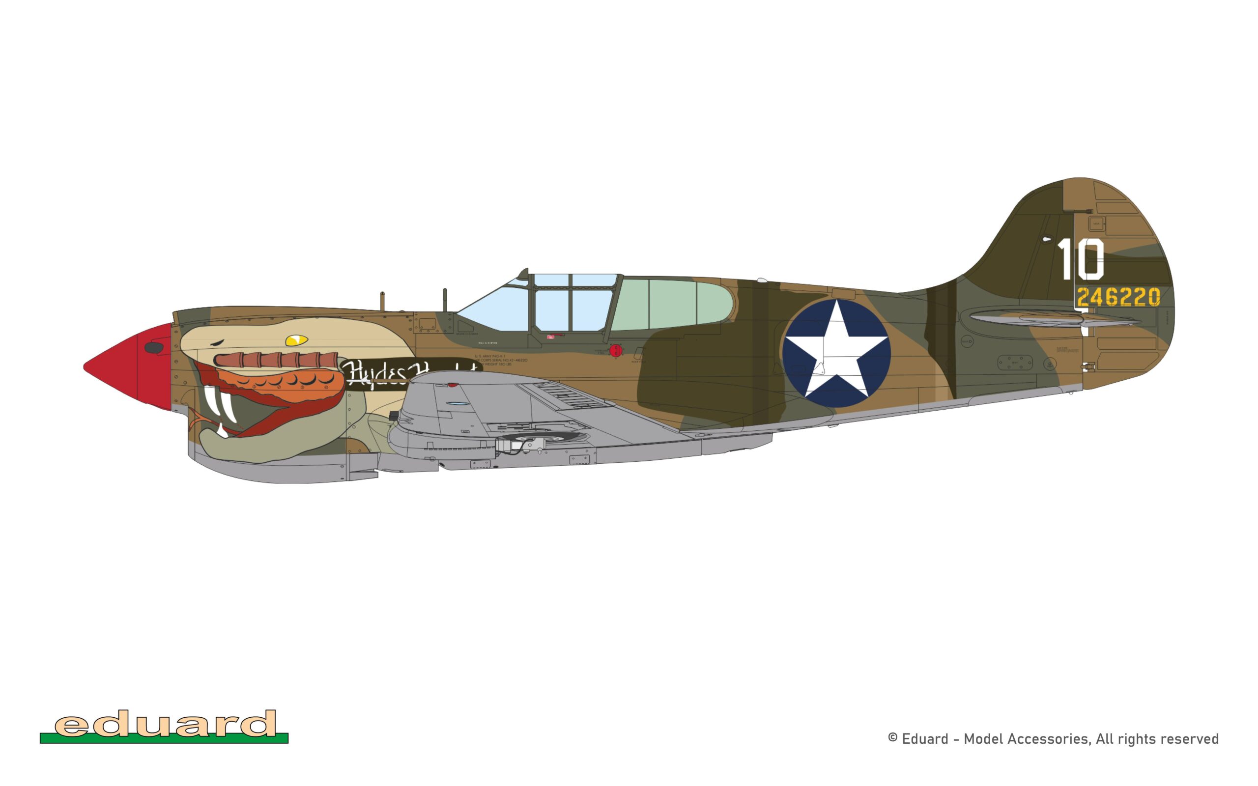P-40K Warhawk DUAL COMBO Royal Class – Image 4