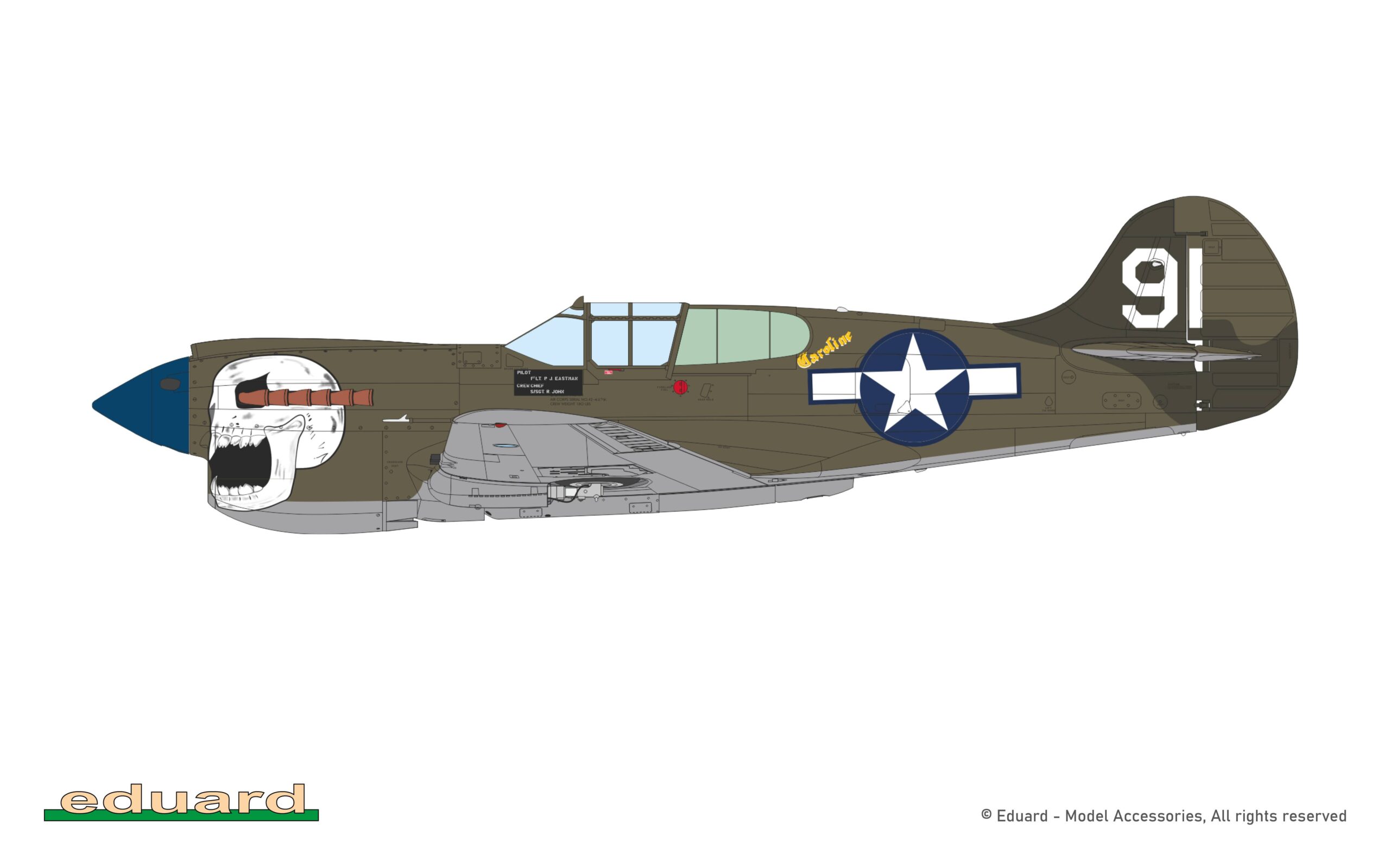 P-40K Warhawk DUAL COMBO Royal Class – Image 6