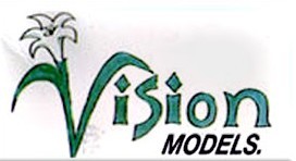 VISION MODELS