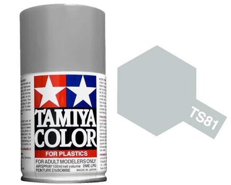 TS-81 Gris marine mat
