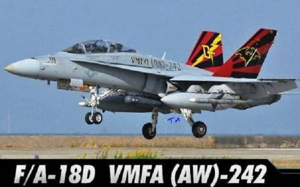 USMC F/A-18D VMFA(AW)-242 BATS – Image 2