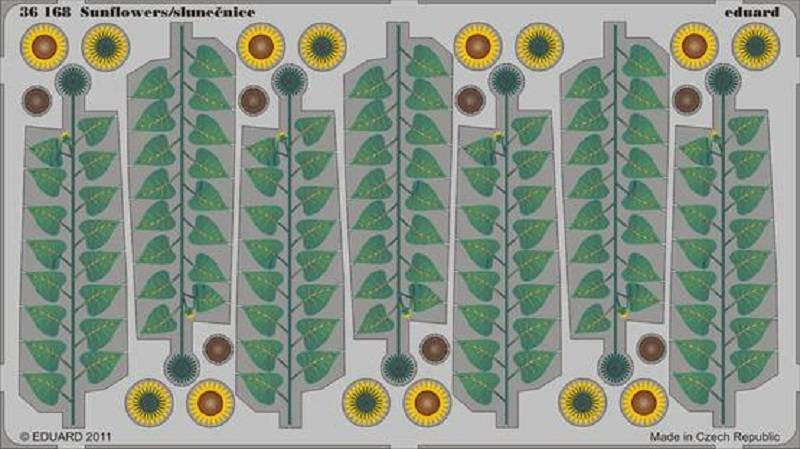 Sunflowers - colour