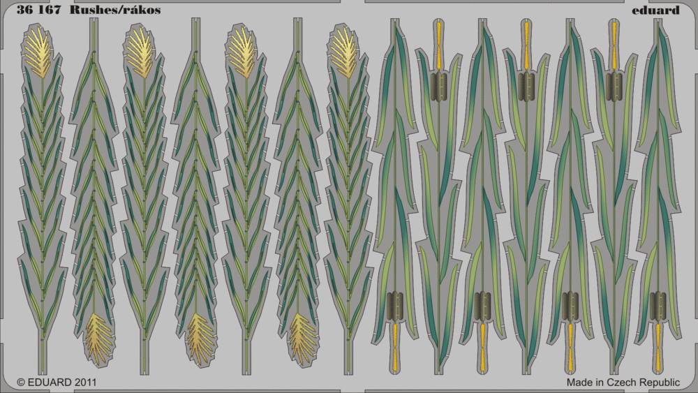 Rushes - colour