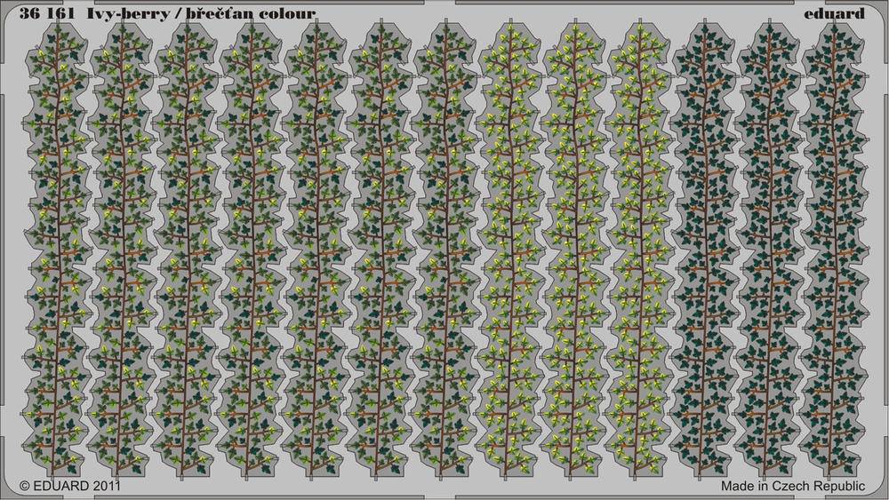 Ivy-berry - colour