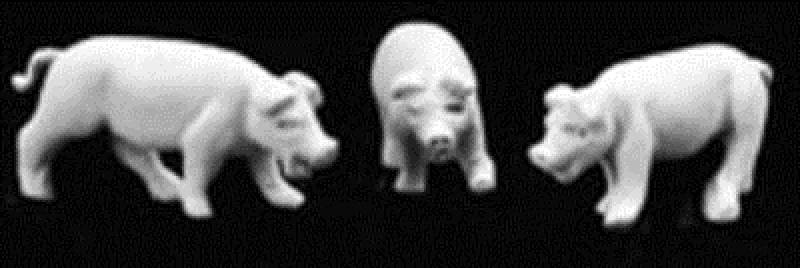 Three Little Pigs