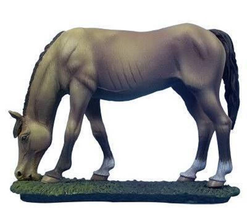 Grazing Horse