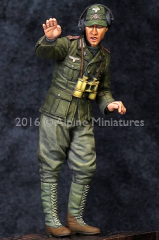 Tiger Commander Tunisia