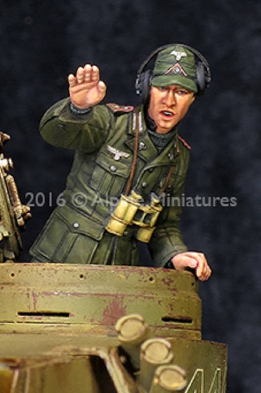 Tiger Commander Tunisia – Image 2