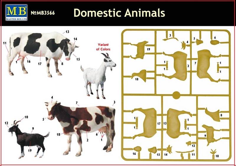 Domestic Animals – Image 2