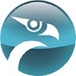 Kitty Hawk model