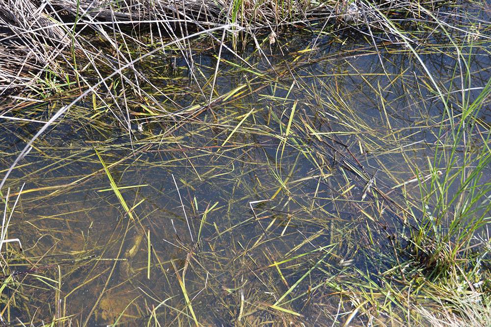 still water 250ML – Image 2