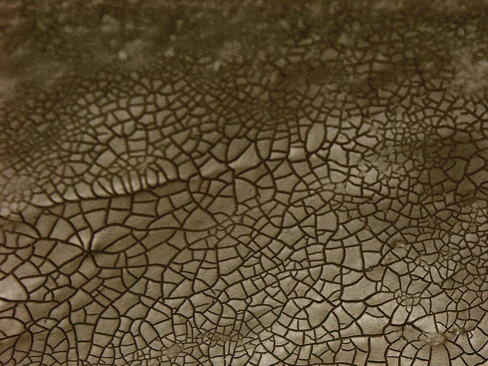 dark & dry crackle effects 100ML – Image 2