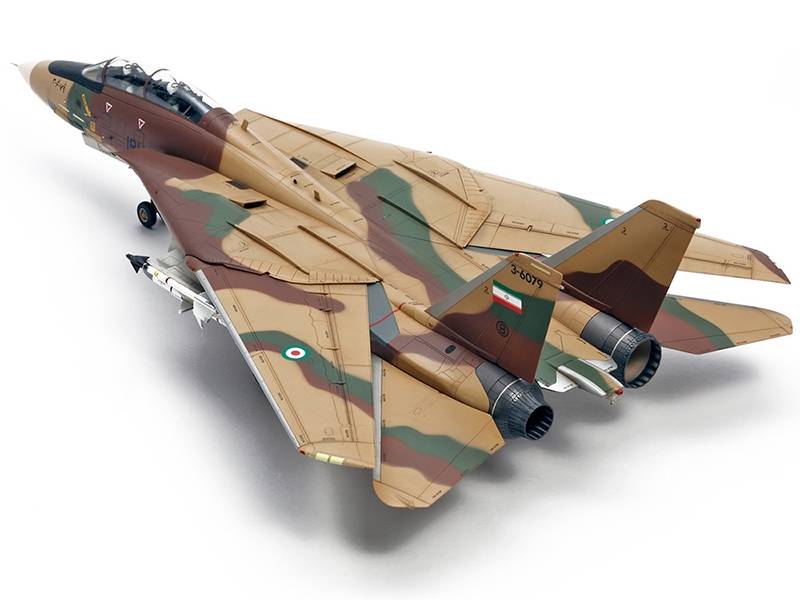 Grumman F-14A Tomcat – Image 6
