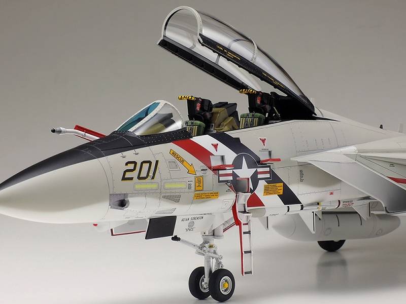 Grumman F-14A Tomcat – Image 7