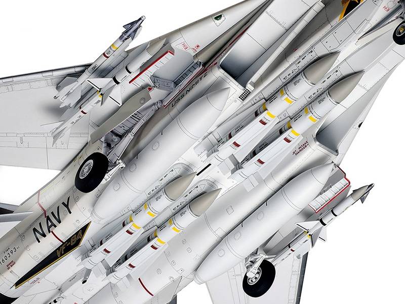 Grumman F-14A Tomcat – Image 19