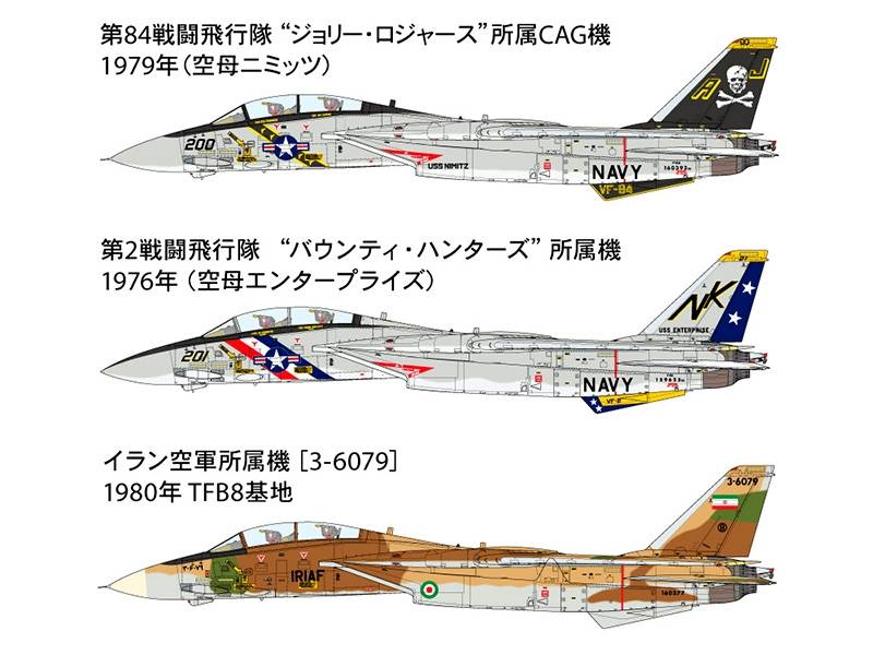 Grumman F-14A Tomcat – Image 23