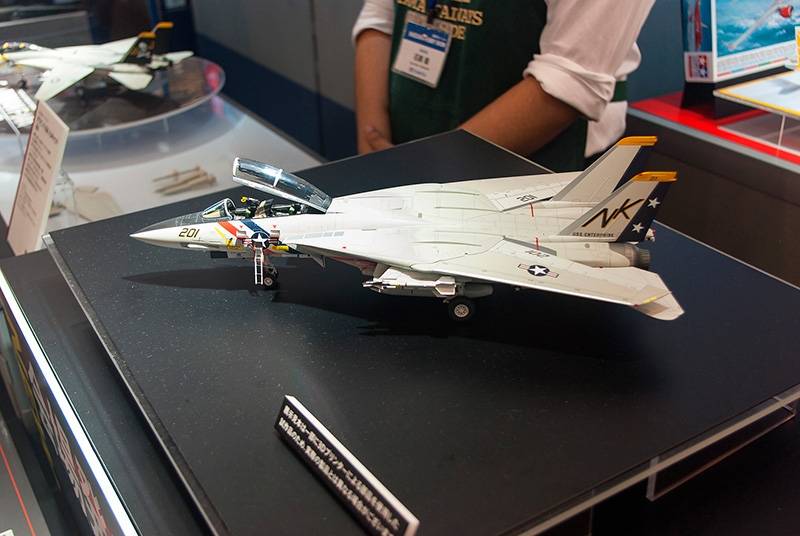 Grumman F-14A Tomcat – Image 24