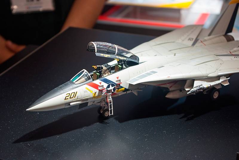 Grumman F-14A Tomcat – Image 25