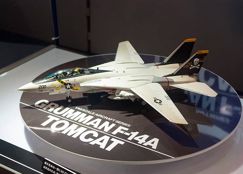 Grumman F-14A Tomcat – Image 2