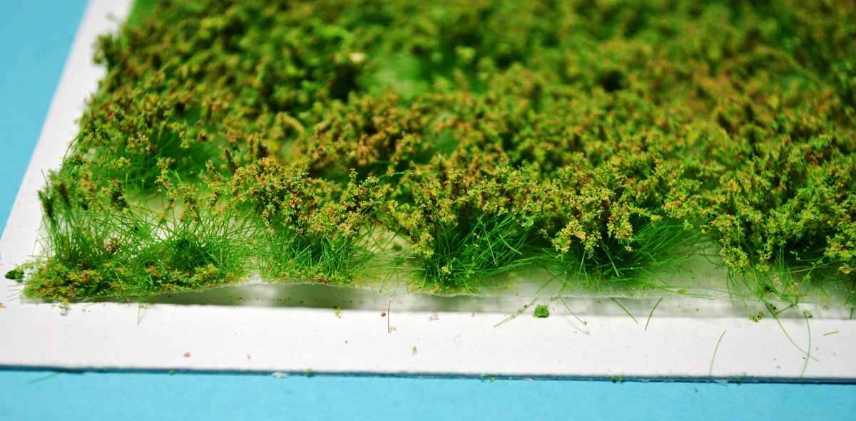 SMALL BUSHES – SPRING – Image 3