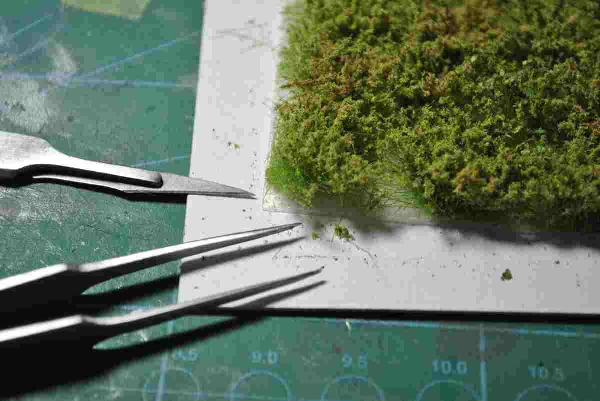 SMALL BUSHES – AUTUMN – Image 3