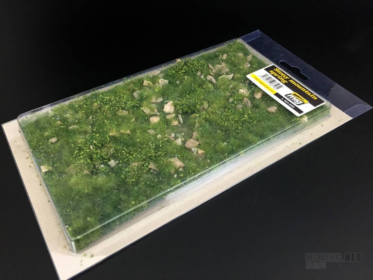 Stony Mountain Spring – Image 2