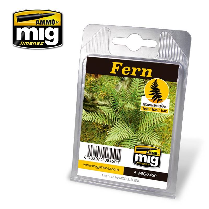 FERN