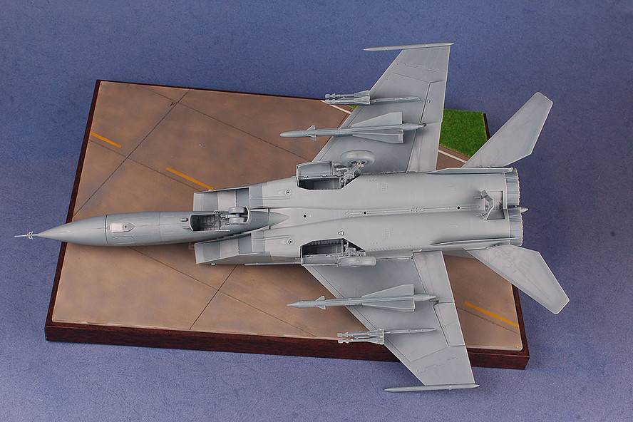MiG-25 Foxbat – Image 12