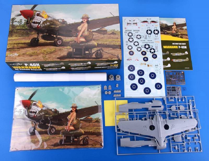 Curtiss P-40N Warhawk – Image 2