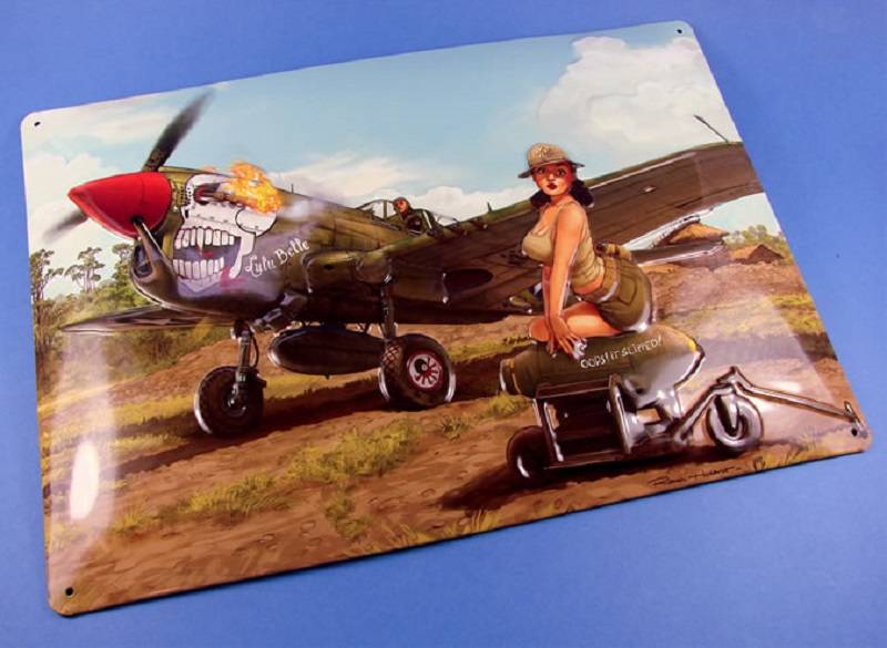 Curtiss P-40N Warhawk – Image 7