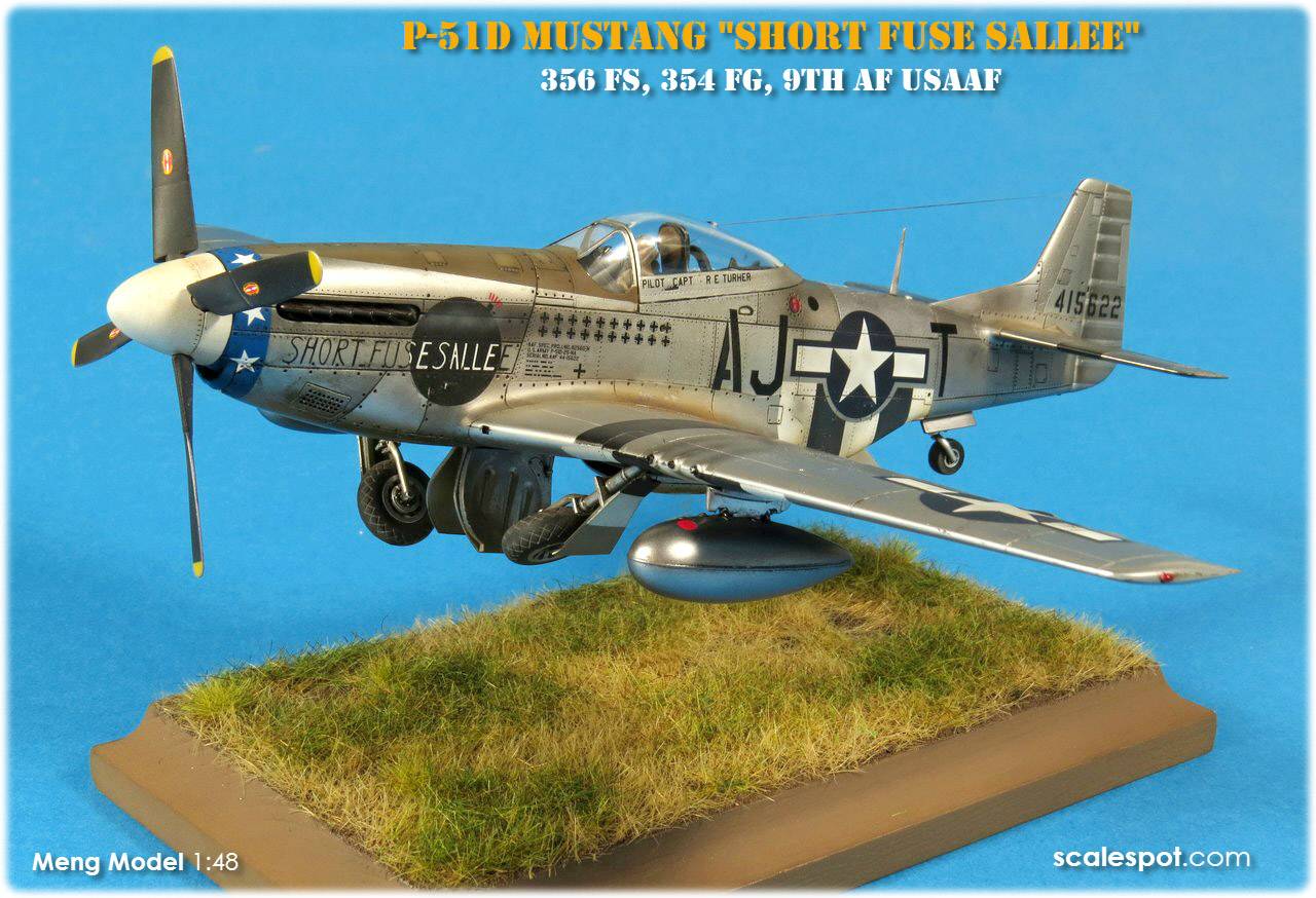 NORTH AMERICAN P-51D MUSTANG FIGHTER – Image 3