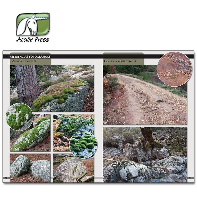 LANDSCAPES OF WAR: THE GREATEST GUIDE - DIORAMAS VOL. 1 (English) – Image 2