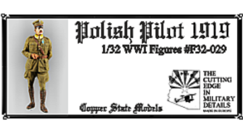 Polish Pilot 1919