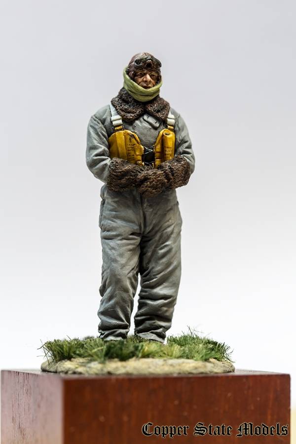 Royal Naval Air Service pilot – Image 4