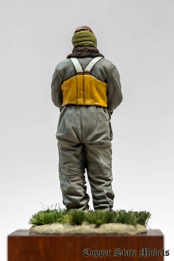 Royal Naval Air Service pilot – Image 5