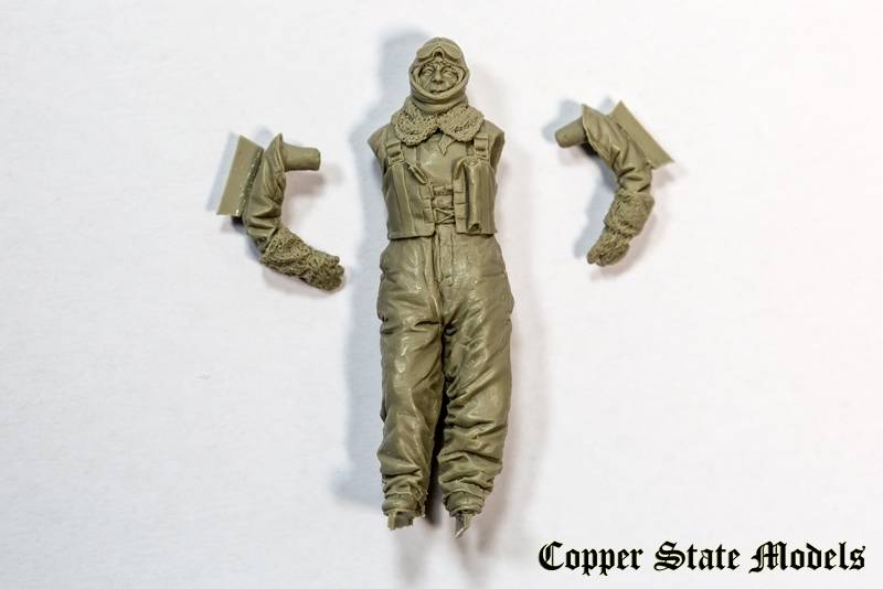Royal Naval Air Service pilot – Image 6