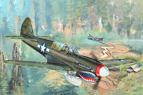 P-40N War Hawk – Image 2