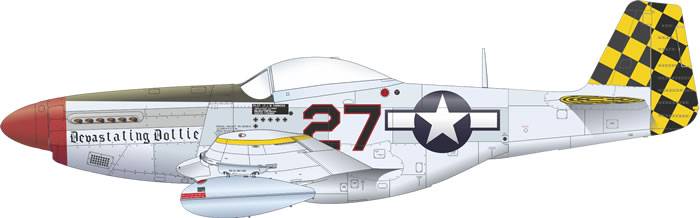 P-51D-5 MUSTANG – Image 14