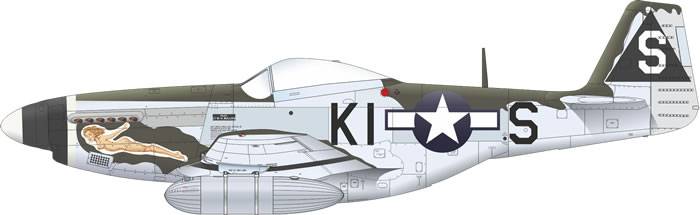 P-51D-5 MUSTANG – Image 16