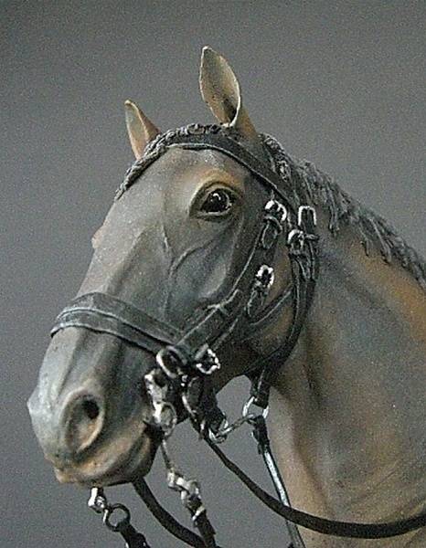 FRENCH DRAGOON NAPOLEONIC WARS – Image 10